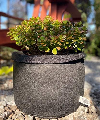 Smart Pots 3-Gallon Smart Pot Soft-Sided Container, Black