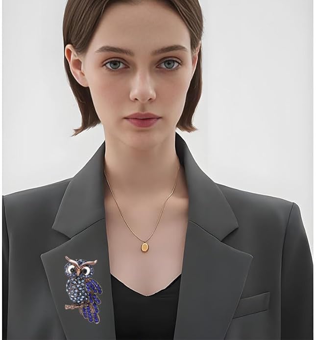 Rhinestone Owl Brooch Pin for Women Cute Big Cartoon Cat Eye Stone Owl Bird Brooch Unique Double Owl Brooch Pin Clothes Bag Hat Dress Jewelry