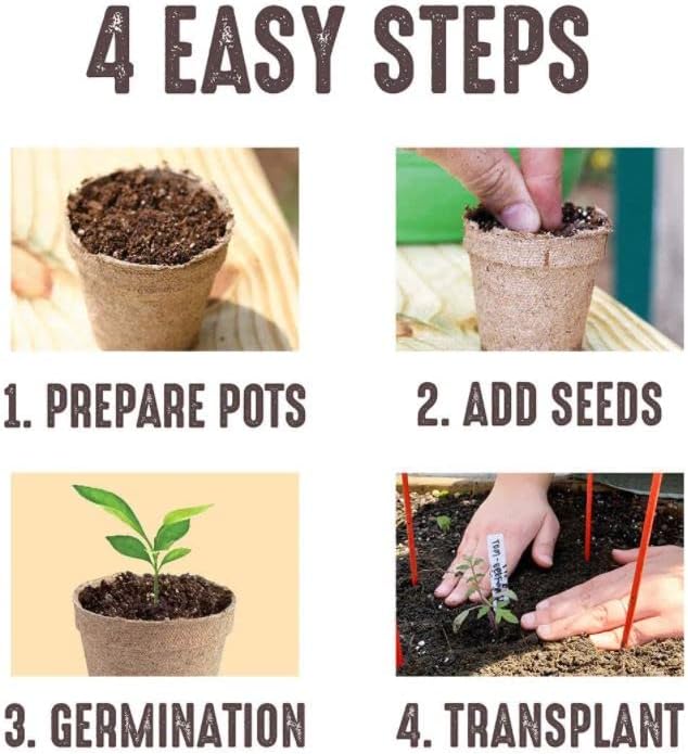 Jiffy Plant Nursery Pots - Organic Seed Starting, Biodegradable, Drainage Hole - 3 in - Peat