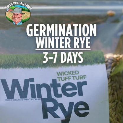 Winter Rye Grass Seed Grass Fall Mix Ryegrass Seeds for Lawn No Till Food Plot Seed Fall Cover Crop Mix by Old Cobblers Farm (5 lbs | 10 lbs | 15 lbs | 20 lbs) (5 lbs)