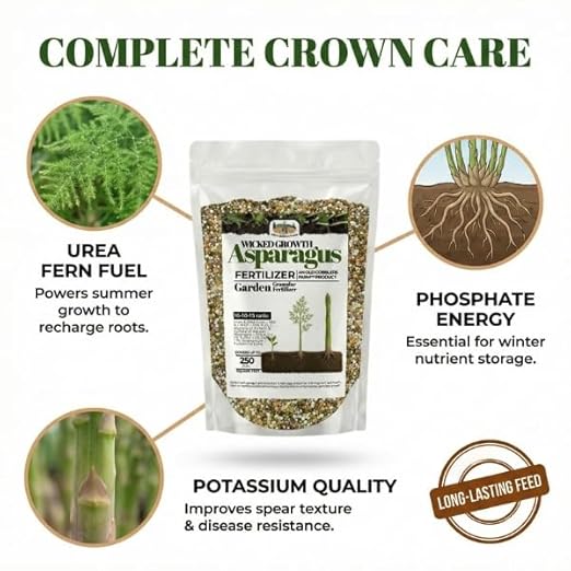 Old Cobblers Farm™ Wicked Growth Asparagus Fertilizer – Balanced Formula for Healthy Spears & Strong Root Growth – Supports Early Season Growth (5 lbs | 10 lbs | 15 lbs | 20 lbs) (5 lbs)