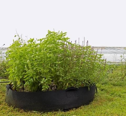 Bootstrap Farmer Large Grow Bag Raised Bed with Handles, 3 Pack, 100 Gallon