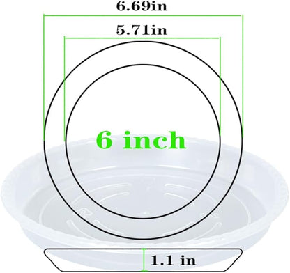 Plant Saucer 6 Pack of 4 6 8 10 12 14 16 inch, Clear Plastic Flower Plant Pot Saucer, Heavy Duty Plant Drip Trays Saucers for Indoor, Plant Water Tray for Planters (6", Clear)