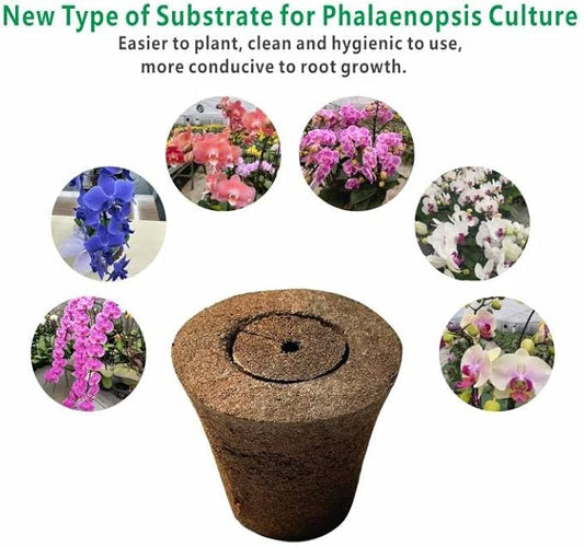 Coconut Coir Sponges for Moth Orchids - Natural Plant Growing Media, Epiphytic Plant Aeration, Moisture Control Sponge Pads for Potting Mix Amendment (2-Pack)