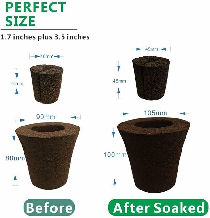 Coconut Coir Sponges for Moth Orchids - Natural Plant Growing Media, Epiphytic Plant Aeration, Moisture Control Sponge Pads for Potting Mix Amendment (2-Pack)
