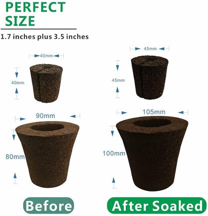 Coconut Coir Sponges for Moth Orchids - Natural Plant Growing Media, Epiphytic Plant Aeration, Moisture Control Sponge Pads for Potting Mix Amendment (2-Pack)