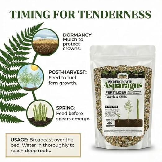 Old Cobblers Farm™ Wicked Growth Asparagus Fertilizer – Balanced Formula for Healthy Spears & Strong Root Growth – Supports Early Season Growth (5 lbs | 10 lbs | 15 lbs | 20 lbs) (10 lb)