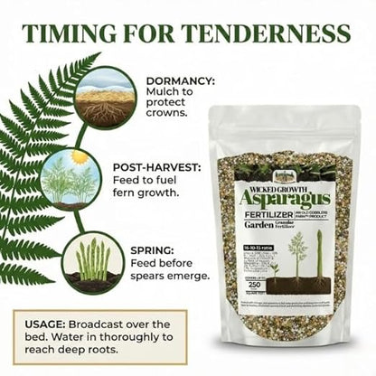 Old Cobblers Farm™ Wicked Growth Asparagus Fertilizer – Balanced Formula for Healthy Spears & Strong Root Growth – Supports Early Season Growth (5 lbs | 10 lbs | 15 lbs | 20 lbs) (10 lb)