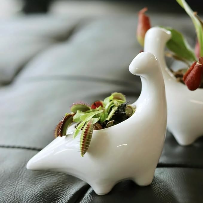 GeLive White Dinosaur Ceramic Succulent Planter Flower Plant Pot Window Box with Saucer Cartoon Animal Decor, 5 Inch, Indoor Outdoor