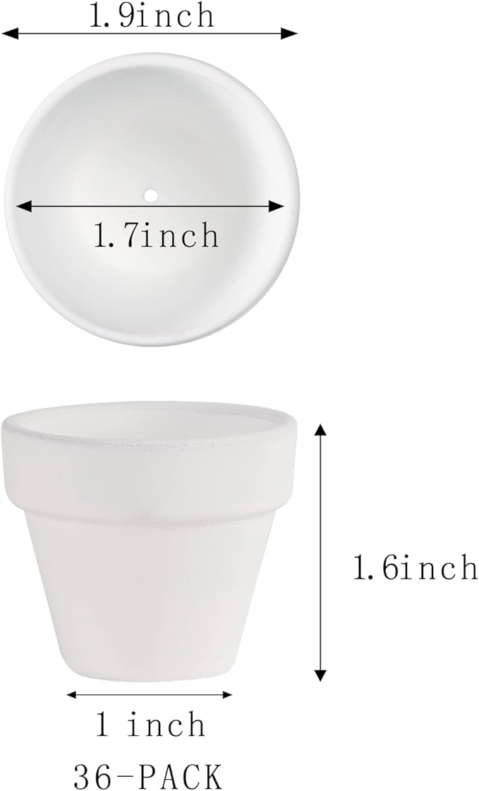 36 Mini White Flower Pots - 2 inch Clay, Cactus & Succulent Nursery Pots with Drainage Holes, Indoor/Outdoor Suitable