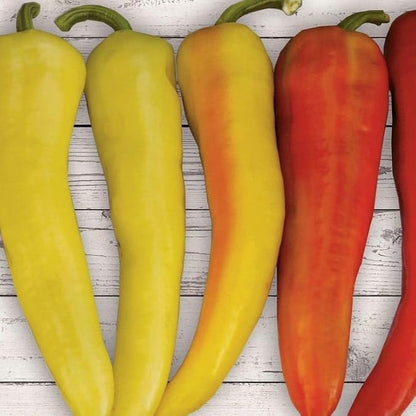 Park Seed Sweet Sunset Hybrid Pepper Seeds - Pack of 100 Seeds, AAS Winner 2015, Sweet and Crunchy Banana Peppers, Ideal for Containers, Heat-Resistant, Fast-Growing
