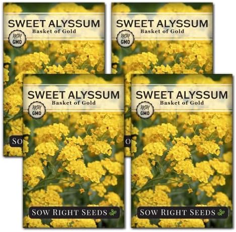 Sow Right Seeds - Sweet Alyssum Basket of Gold Flower Seeds for Planting - Perennial Garden Flowers - Easy to Grow Fragrant Blooms - Ideal for Borders and Containers - Attract Pollinators (4)