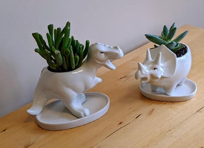 Ceramic Succulent Plant Pot Cactus Plant Pot Flower Pot Container Planter with Drainage Hole Home Office Desk Garden Gift Idea Animal Shaped Flower Pot Cute Vase Pot (4pcs Dinosaur)