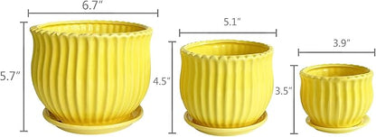 Yellow Ceramic Flower Pots with Saucers, Modern Round Ceramic Succulent Plant Pots with Stripe Texture, Small to Medium Sized, Set of 3