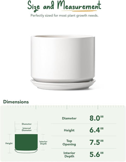 LE TAUCI Ceramic Pots for Plants, 8 Inch Plant Pot with Drainage Hole & Saucer, Modern Minimalist Planters for Indoor Plants, Round Flower Pot for Snake Plant, Monstera, Perfect for Home Decor, White