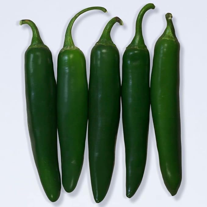 Park Seed Variety of Hot Chili Pepper Plant Seeds, Easy to Grow, Perfect for Spring Garden, Pathfinder Serrano, Pack of 15