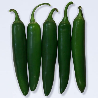Park Seed Variety of Hot Chili Pepper Plant Seeds, Easy to Grow, Perfect for Spring Garden, Pathfinder Serrano, Pack of 15
