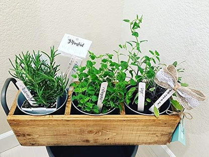 Plantid™ Assorted 10-Pack Kitchen Herbs! Farmhouse Decor Outdoor Indoor Herb Garden Stakes, Plant Labels, Plant Tags, Garden Markers, Garden Accessories, Garden Gifts, Holiday Stocking Stuffers