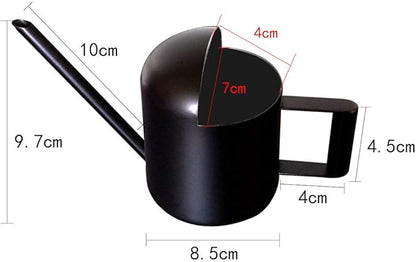 Watering Cans, 10oz/300ml Stainless Steel Long Spout Small Watering Sprinkling Pot, Indoor Outdoor Garden Flower Succulents Plant Watering Cans, Stylish Gardening Decoration(Black)