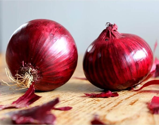 Seeds Red Baron Onion Non GMO Vegetable for Planting