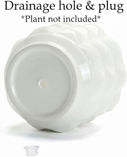 Arktiva Ceramic Planter Pot with Drainage Hole, 4.5 Inch Dia, Indoor and Outdoor, Home Patio Garden, Plants Flower Succulent, 3D Patterned Round (White)