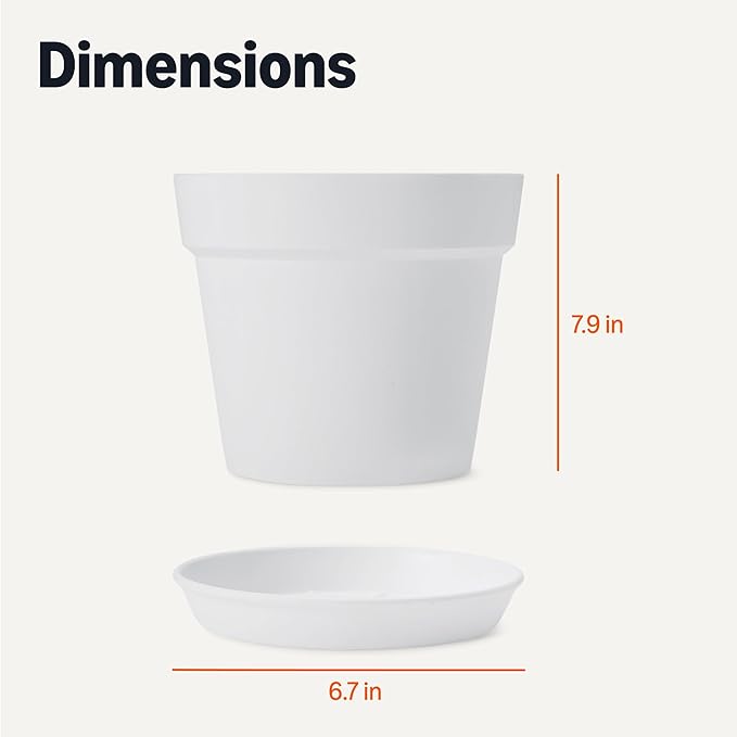 Amazon Basics Plant Pot with Saucer, 8 inch, White, 1-Pack