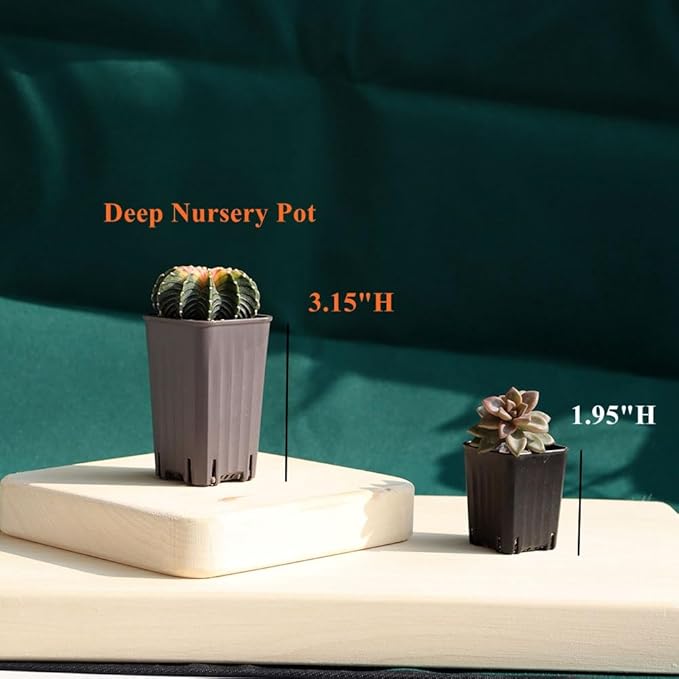 BangQiao 180 Pack 1.95 Inch Tiny Gray Plastic Square Nursery and Seedling Pot, Mini Deep Transplant Seed Starter Planter with Drain Hole for Germination, Herb, Succulent