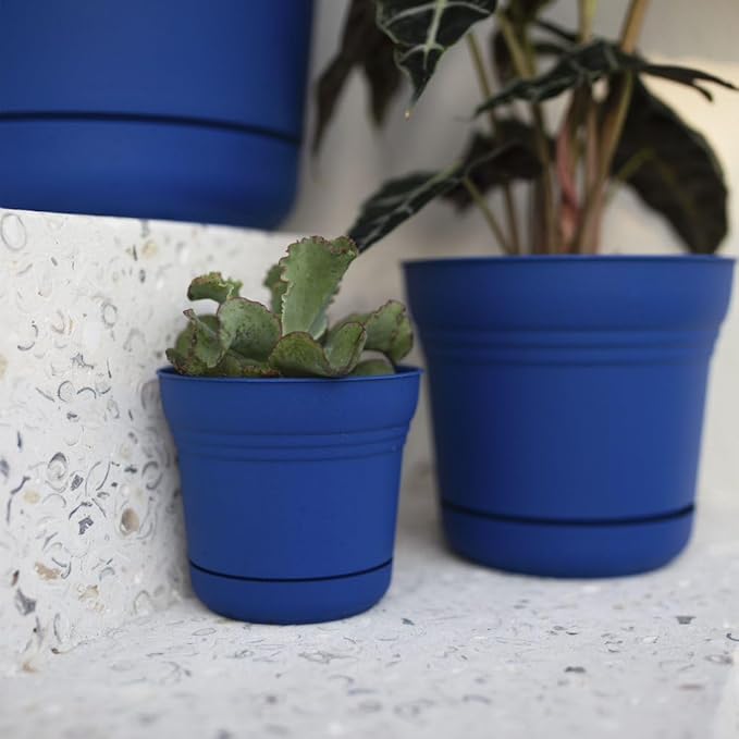 Bloem Saturn Planter w/Saucer 5" Classic Blue (SP0533)