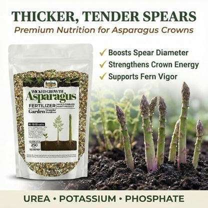 Old Cobblers Farm™ Wicked Growth Asparagus Fertilizer – Balanced Formula for Healthy Spears & Strong Root Growth – Supports Early Season Growth (5 lbs | 10 lbs | 15 lbs | 20 lbs) (5 lbs)