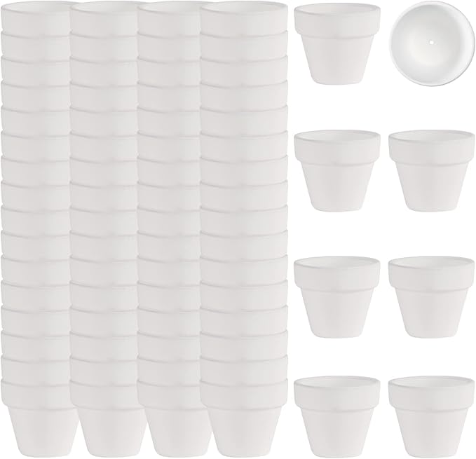 2 Inch White Terracotta Pots Pack of 72 - Mini Clay Pot with Drainage Hole for Tiny Cactus Herb lithop, Small Succulent Planter Nursery Plant Pot for Windowsill, Cactus Plant, Crafts, Wedding Favors