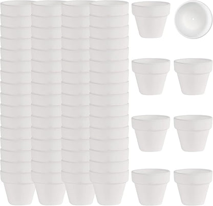 2 Inch White Terracotta Pots Pack of 72 - Mini Clay Pot with Drainage Hole for Tiny Cactus Herb lithop, Small Succulent Planter Nursery Plant Pot for Windowsill, Cactus Plant, Crafts, Wedding Favors