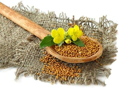Seeds White Mustard Vegetable Garden Heirloom for Planting Non GMO