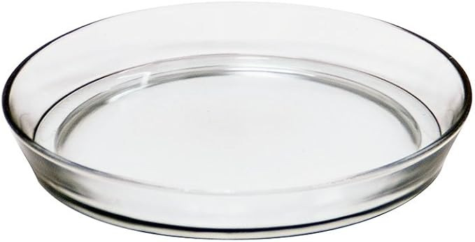 Achla Designs 8 3/4-in Glass Plate, Plant Tray Terrarium Saucer