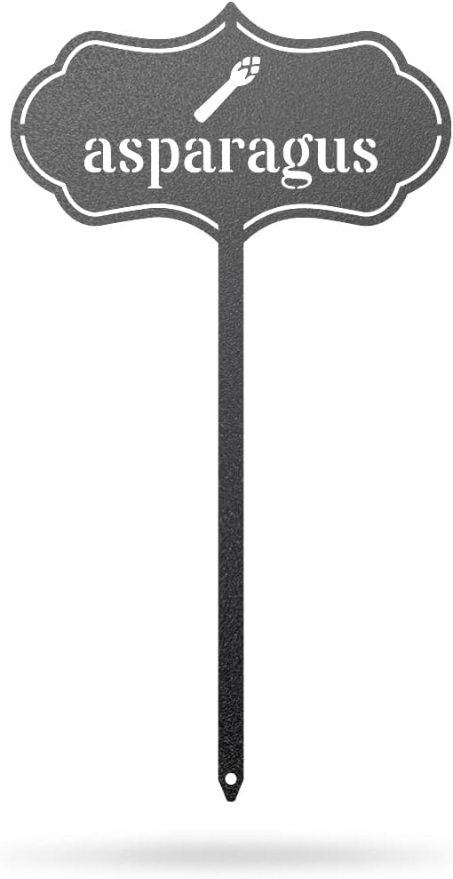 RealSteel Metal Seed & Plant Markers – Elegant Indoor & Outdoor Garden Stakes – Durable Herb, Vegetable & Fruit Plant Labels for Pots, Raised Beds & Greenhouse – Farmhouse Garden Gift - (Asparagus)