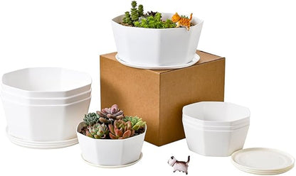 BangQiao 8 Pack 8.00 inch and 5.90 inch White Plastic Shallow Plant Pot, Octagon Bowl Planter Container with Pot Tray for Succulents, Cactus