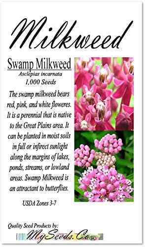 All 5 Big Packs - Common, Tropical Sunset, Showy, Swamp, and Butterfly Milkweed Seeds, Asclepias Species (All 5 Big Packs)