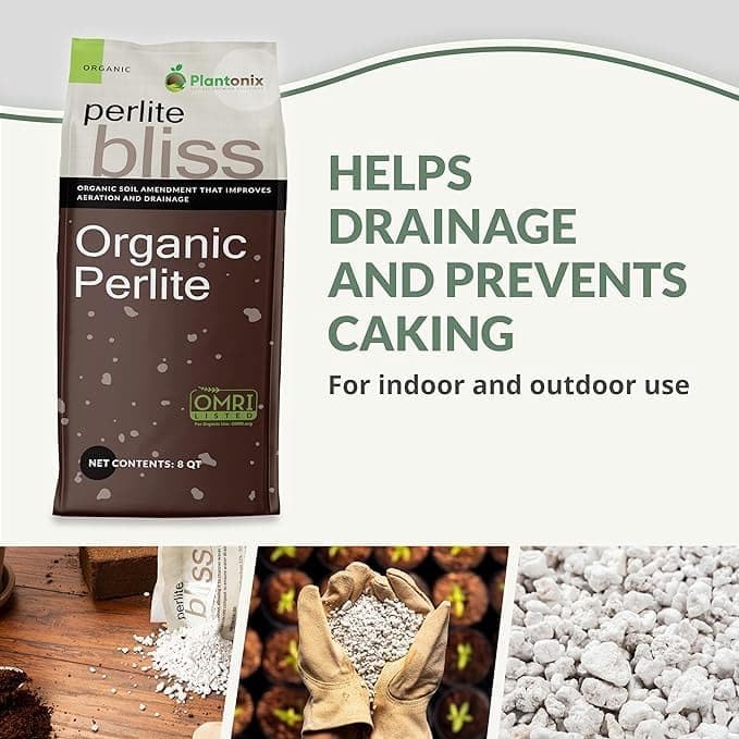 Perlite Bliss (1 Cubic Ft) - Organic Perlite for Plants Indoor Soil Amendment - Bulk Perlite for Gardening & Seed Starting - Mixes Easily with Potting Soil, Vermiculite, & Coco Coir for Plants