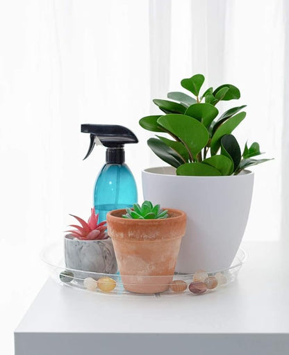 TRUEDAYS 20 Pack 6 Inch Plant Saucers Clear Plant Saucers Flower Pot Plastic Drip Trays Excellent for Indoor & Outdoor Plants