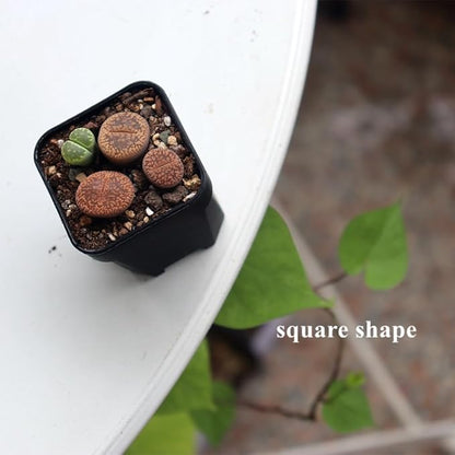 BangQiao 200 Pack 1.95 Inch Tiny Black Plastic Square Nursery and Seedling Pot, Mini Transplant Seed Starter Planter with Drain Hole for Germination, Herb, Succulent