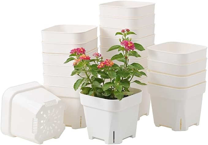 BangQiao 20 Pack 5.50 Inch White Plastic Nursery and Seedling Pots, Square Seed Starter Plant Pot Container for Cactus, Succulent, Cutting, Transplanting