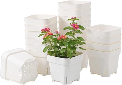 BangQiao 20 Pack 5.50 Inch White Plastic Nursery and Seedling Pots, Square Seed Starter Plant Pot Container for Cactus, Succulent, Cutting, Transplanting