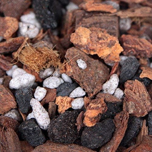 Potting Soil with Perlite, peat Moss, Coconut, Charcoal and Orchid bark for Cattleya Dendrobium Oncidium All Natural Orchid bark Potting Mix for Potting Soil Indoor Plants