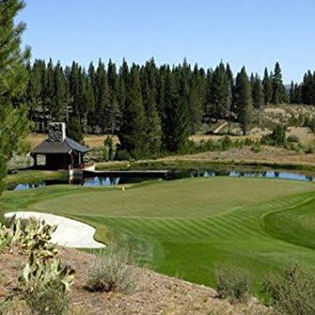 Outsidepride PC2.0 (Penncross) Creeping Bent Grass Seed – 5 lbs. Premium Golf Course Grade, Dense, Wear-Resistant Turf Grass Seeds for Tees, Putting Greens & Fairways, Ideal for High Traffic Areas