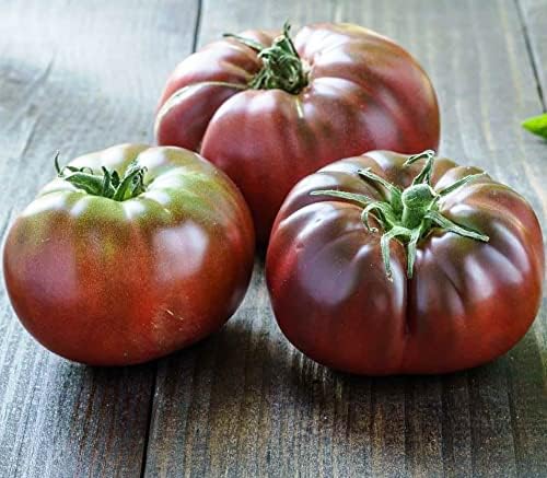 Seeds Black Prince Tomato Indeterminate Rare Variety True Siberian Tomato Non GMO Heirloom