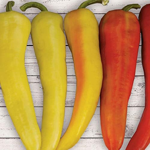 Park Seed Sweet Pepper Vegatable Plant Seeds, Easy to Grow, Spring Garden, Sweet Sunset Hybrid, Pack of 15