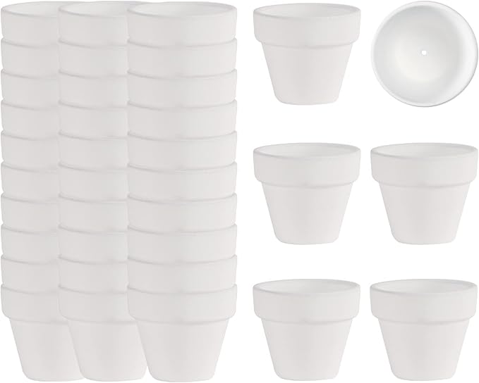 36 Mini White Flower Pots - 2 inch Clay, Cactus & Succulent Nursery Pots with Drainage Holes, Indoor/Outdoor Suitable