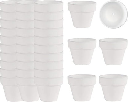 36 Mini White Flower Pots - 2 inch Clay, Cactus & Succulent Nursery Pots with Drainage Holes, Indoor/Outdoor Suitable