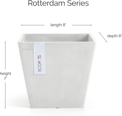Ecopots Rotterdam Durable Modern Square Indoor/Outdoor Recycled-Based Composite Flower Planter, Pure White, 8"