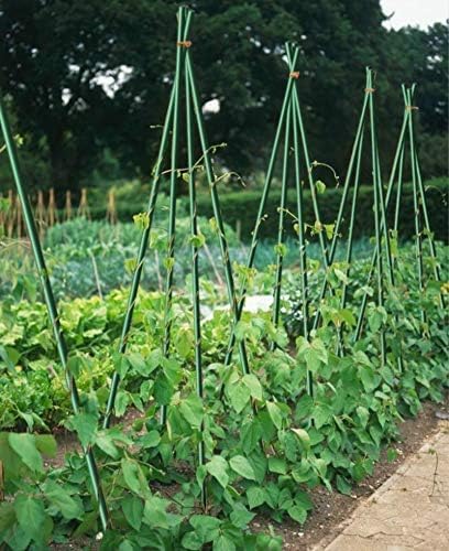 Plant Stakes 60inch 20pack, 1/2inch Diameter Garden Stakes, Garden Poles Tree Stake for Cucumber Potato Fence, Never Rust, 5ft Long