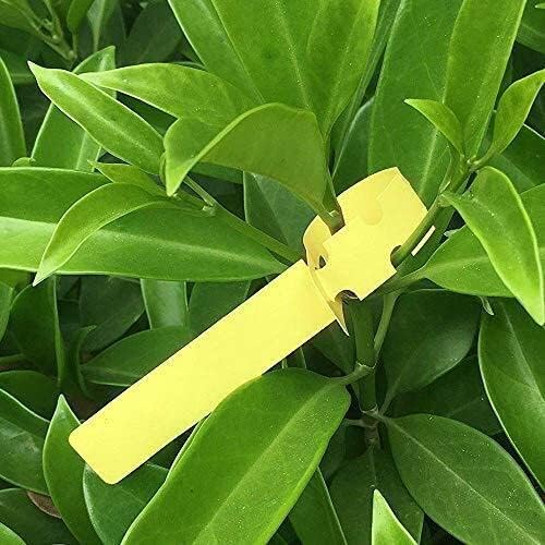 Kecoya 200pcs Plastic Plant Labels, Waterproof Plant Tree Tags and Labels, Wrap Around Plant Label Tags, Adjustbale Hanging Plant Tag and Labels.（Yellow）